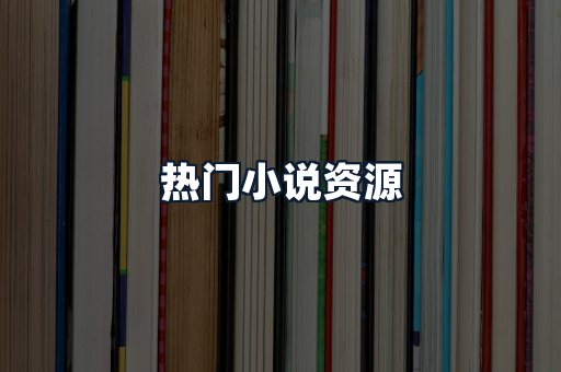 热门小说资源