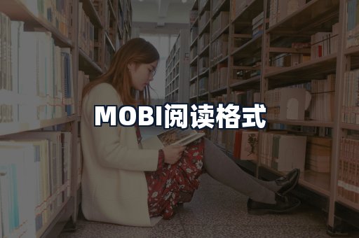 MOBI阅读格式